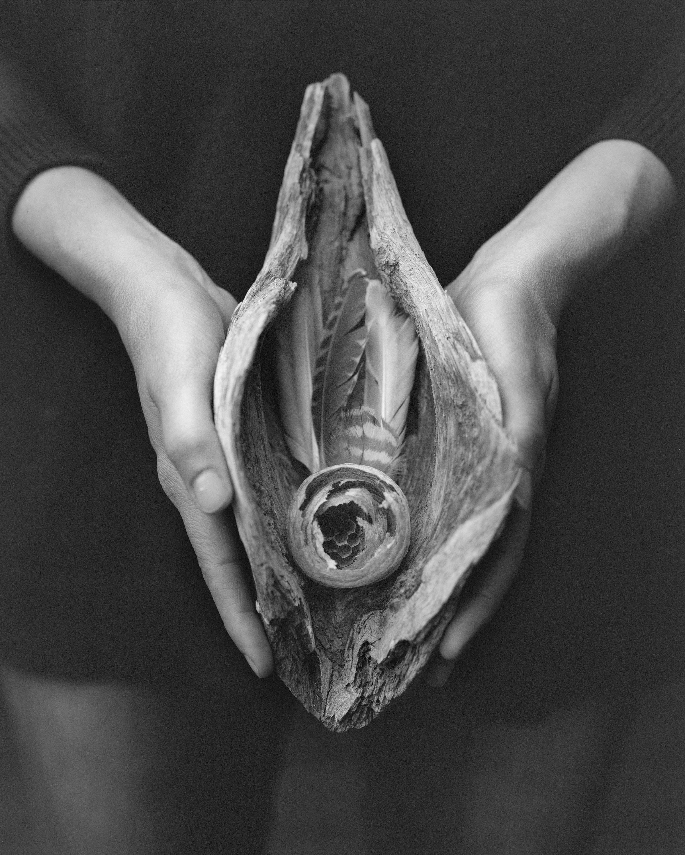 Vulva - Maja Daniels 