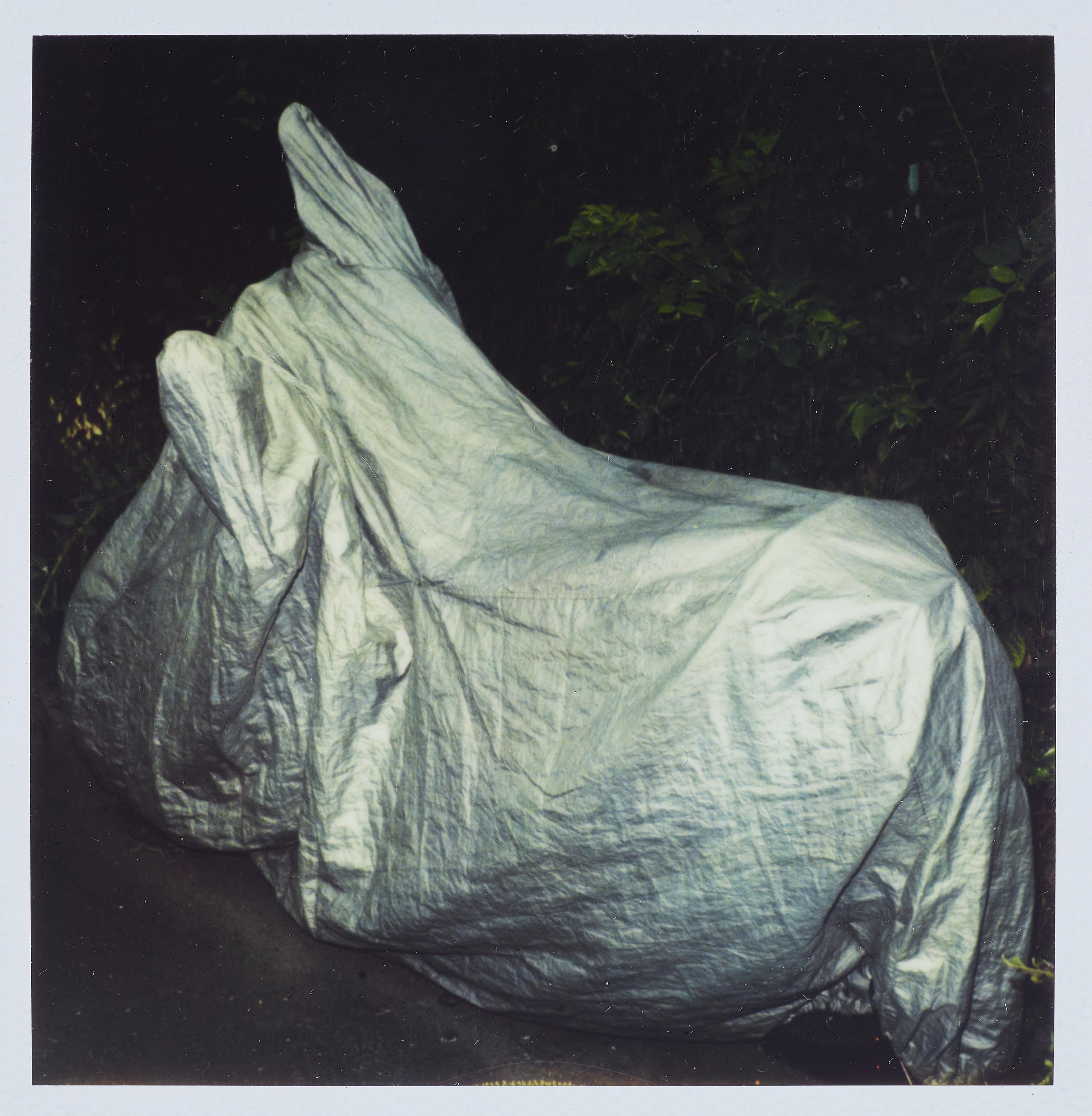 Untitled - Nobuyoshi Araki 