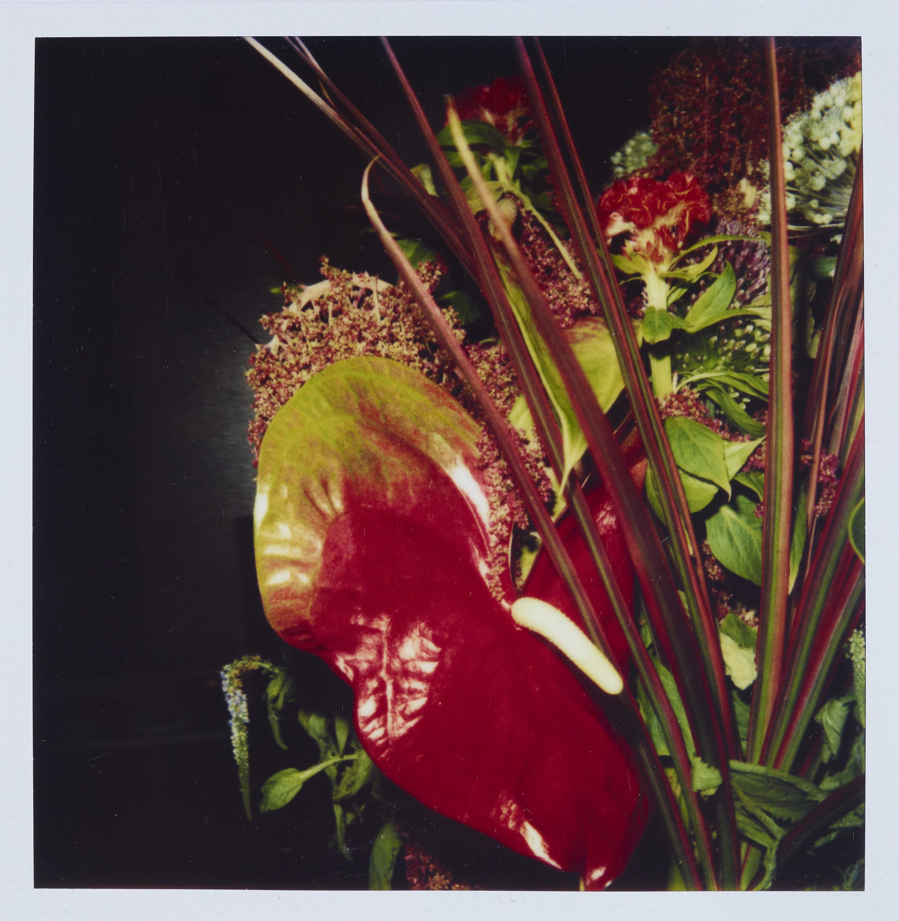 Untitled - Nobuyoshi Araki 