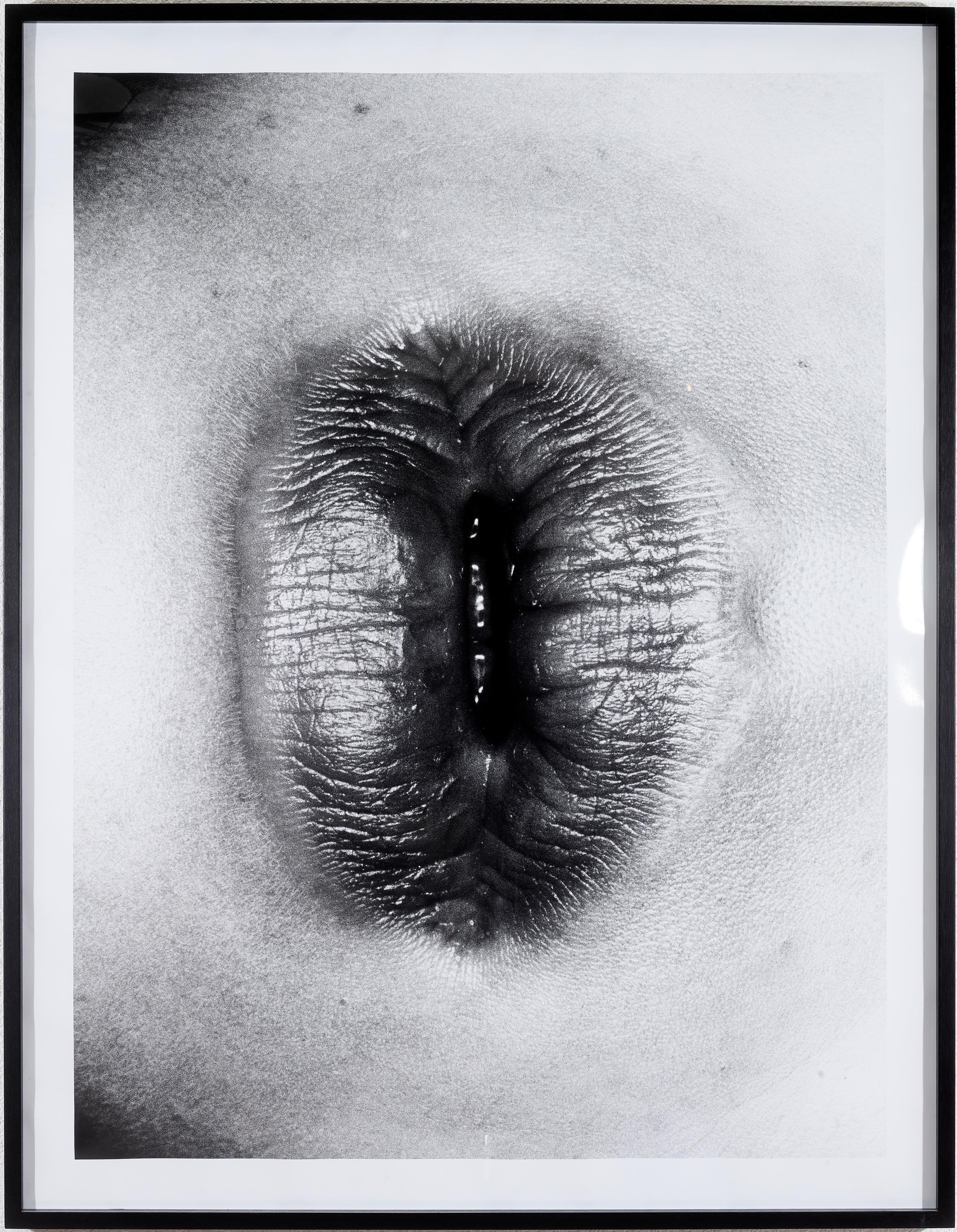 Erotos - Nobuyoshi Araki 