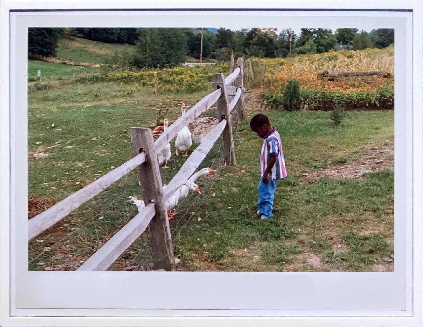 Geese – Boy - Wolfgang Tillmans 