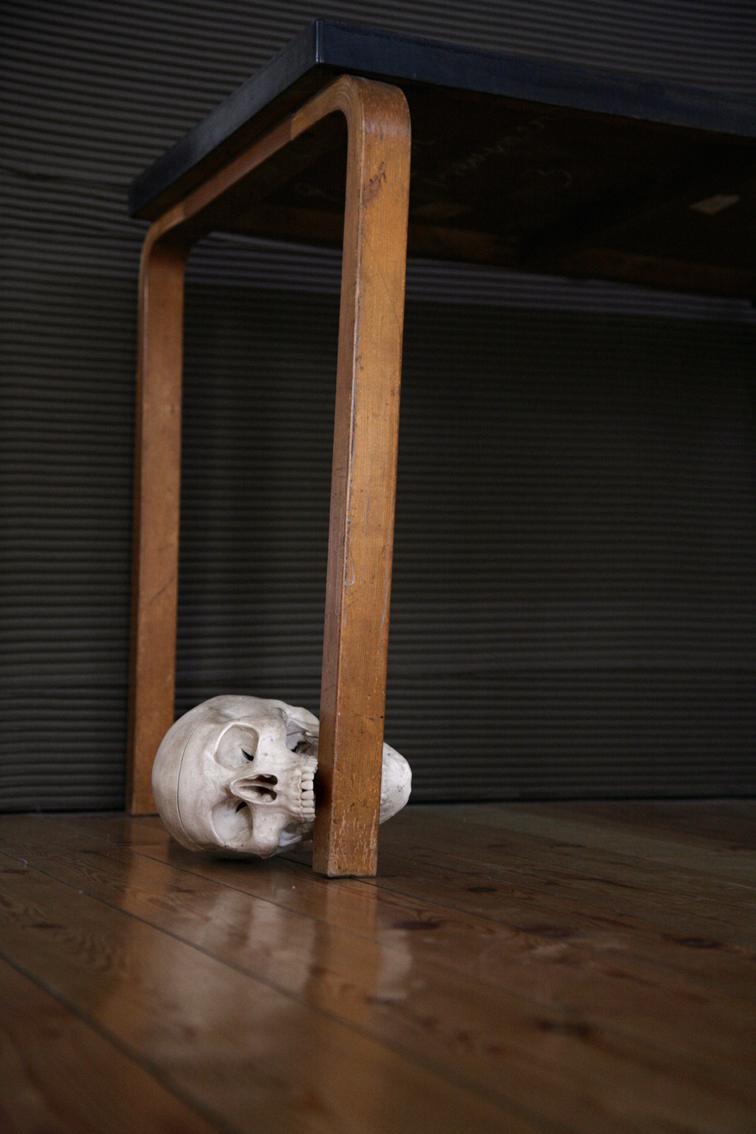 Hamlet, Totenkopf II - Erwin Wurm 
