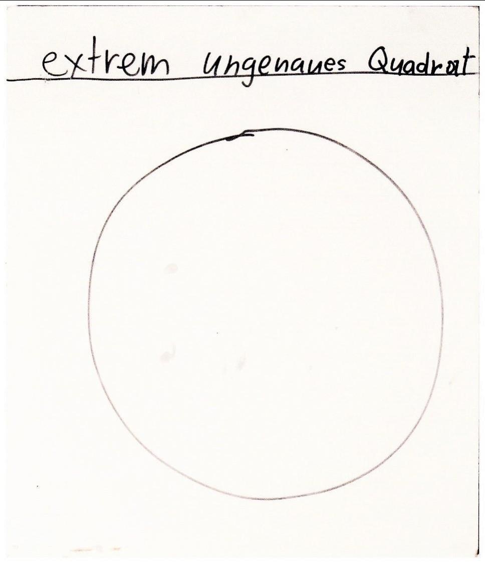 Extrem ungenaues Quadrat – Korrupte Wellen (zweiseitig) - Beni Bischof 